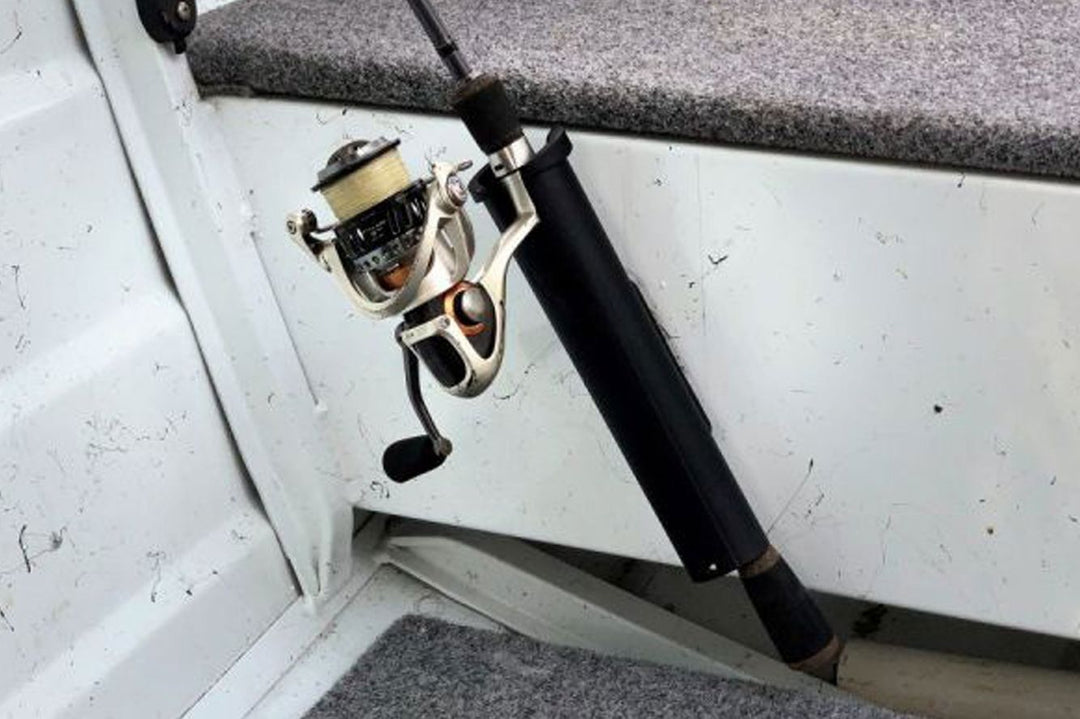 angeln-boot-neuzeeland-perch.jpg