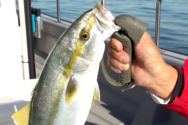 Daiichiseiko Jaw Grip MC kompakte Fischgreifzange für sicheres Landen