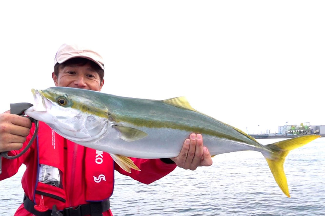 Daiichiseiko Jaw Grip MC kompakte Fischgreifzange für sicheres Landen