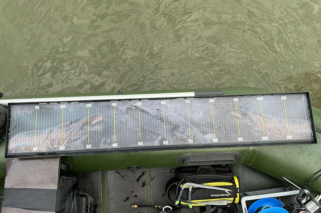 massband-fisch-messen-schlauchboot-lotu.jpg