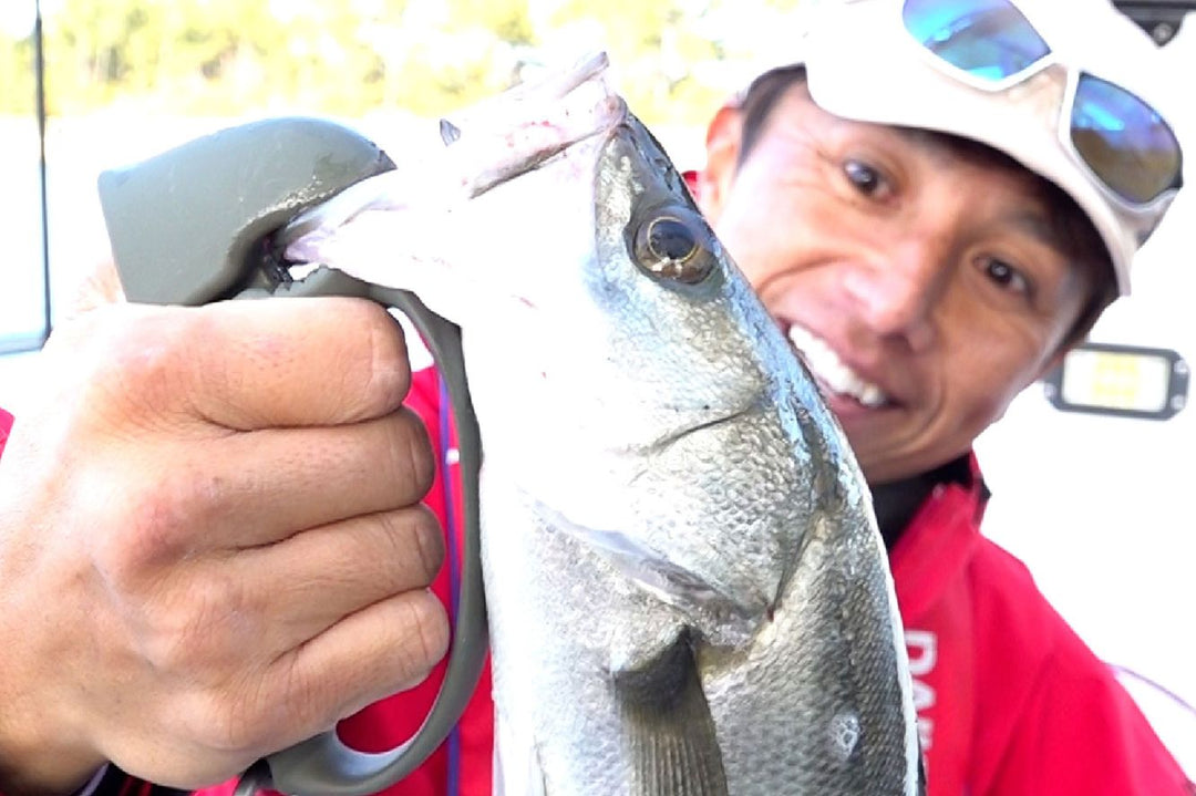 Daiichiseiko Jaw Grip MC kompakte Fischgreifzange für sicheres Landen